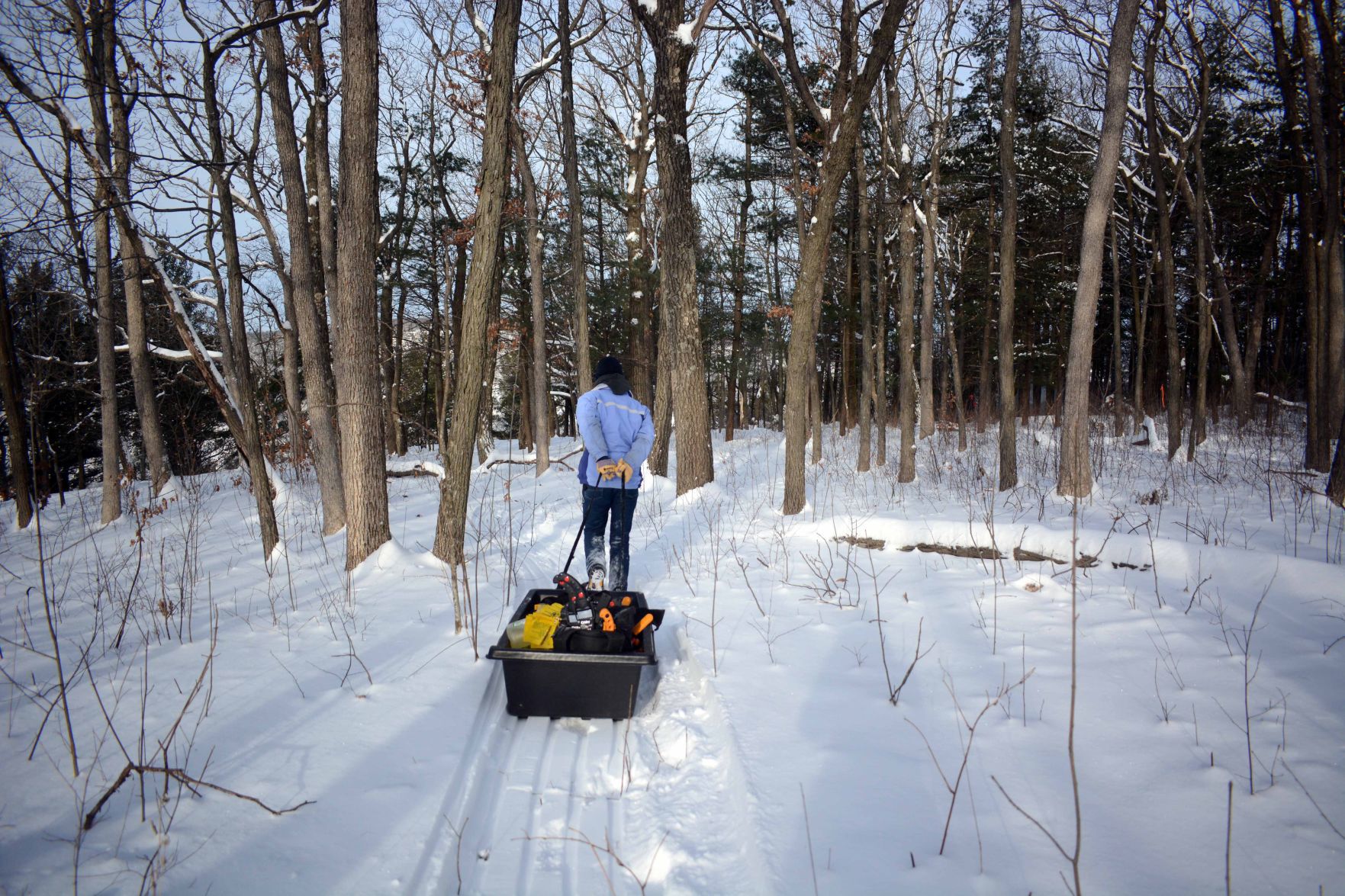 Devil's Lake east bluff stewardship work